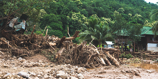 Disaster Prevention & Mitigation